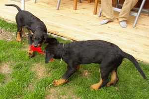 Alf and his brother Arthur